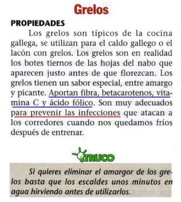 Grelos.Ricos en ácido fólico, vitamina C y fibra.2.005
