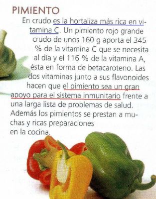 Pimiento.Gran apoyo para el sistema inmunitario.La hortaliza más rica en vitamina C.2.009
