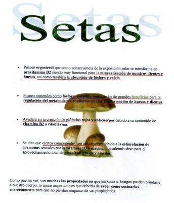 Setas.Buenísimas para la formación de huesos y dientes.Ayuda en la creación de glóbulos rojosy anticuerpos.Tiene propiedades afrodisiacas.Sara Ballester 4º C.2.011
