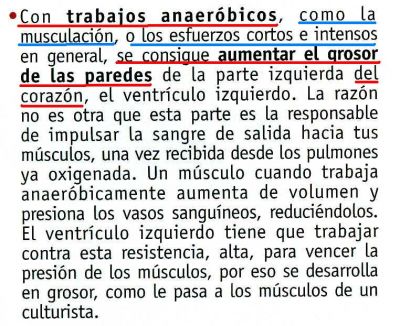 Sistema cardio-respiratorio.Beneficios del ejercicio.2.009 (4)
