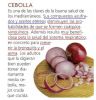 Cebolla_Asma,bronquitis,cuágulos_2_009.jpg