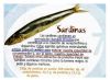 Sardinas_Concentración_2_006.jpg