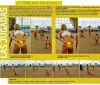 Voley_Playa_Técnica_y_táctica_Voley_al_sol_2_006_(3).jpg