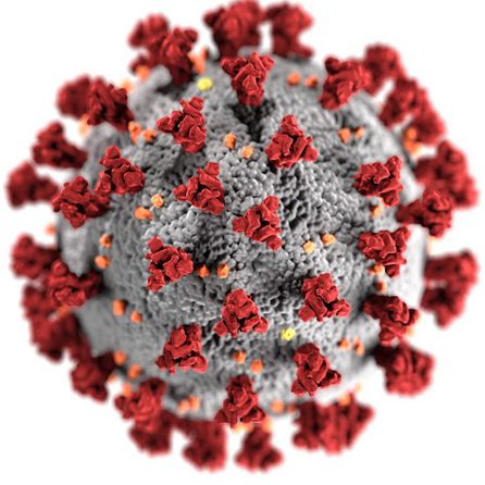 Coronavirus