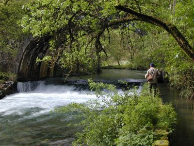 Bajo-el-Puente-da-Ferrería.jpg