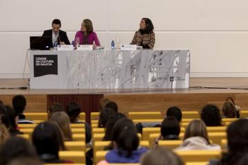 A directora xeral de Patrimonio, María Carmen Martínez Ínsua, presentou hoxe a x