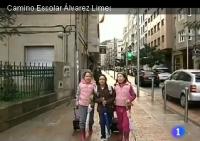 Camiño Escolar Seguro CEIP Álvarez Limeses